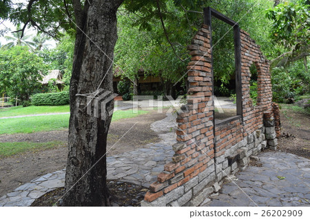 brick window with green vines in countryside brick window with green vines in countryside 26202909