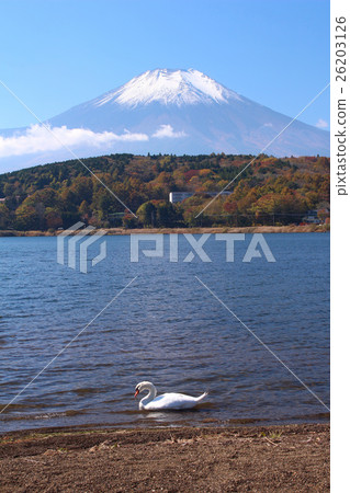 Lake Yamanaka and Mount Fuji 26203126