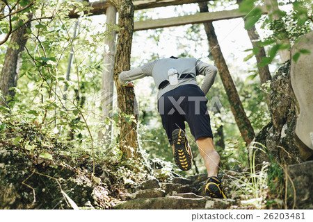 Trail run 26203481