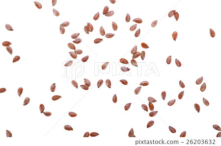 Flax seeds background, Linseed, Lin seeds 26203632