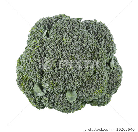 Broccoli isolated on white background Broccoli isolated on white background 26203646