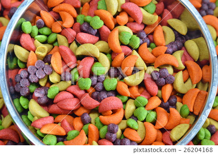 bird food on stainless bowl bird food on stainless bowl 26204168