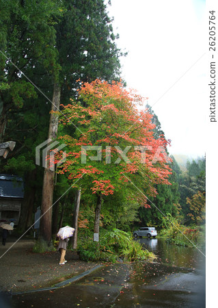 Fudo Fudo Niigata Prefecture Fudo Fudo Niigata Prefecture 26205764