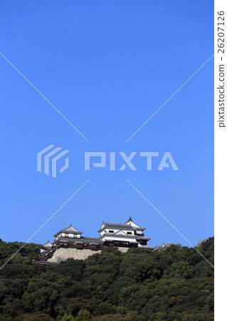 Matsuyama castle looking up from Shiroyama Park. (Great Temporary, Small Tenson, South Corner Oil, Kitakami Rider) 26207126