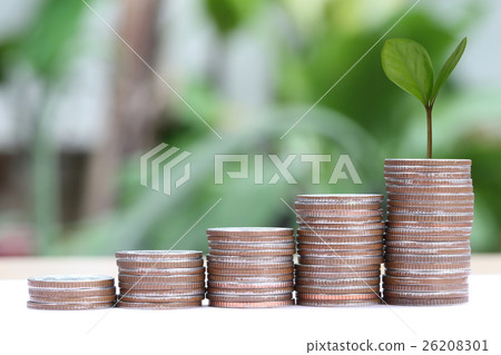 young plant grown to stack silver coin in business growth concept. 26208301