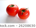 蕃茄 26208630