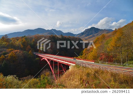 Autumn leaves of Yamanashi prefecture, Higashi-zawa Bridge 26209411