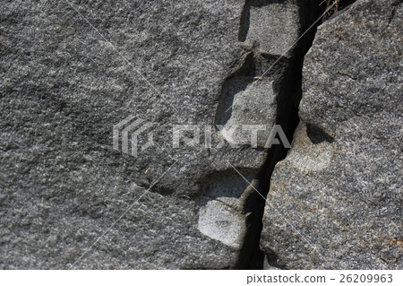 Rough rough skin Rough rough skin 26209963