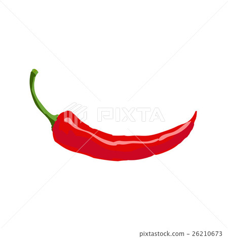 Hand drawn red hot chili pepper isolated on white 26210673