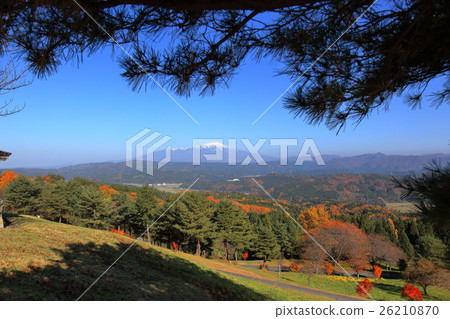Forest of the viewing sea Autumn leaves Forest of the viewing sea Autumn leaves 26210870