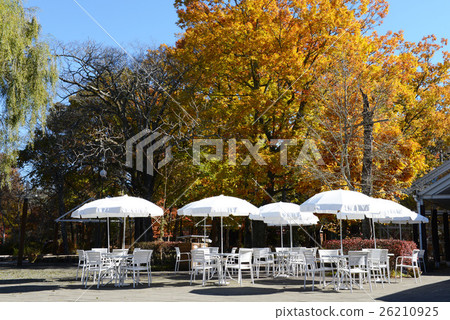 White chair and white umbrella of Karuizawa Tariasen 26210925