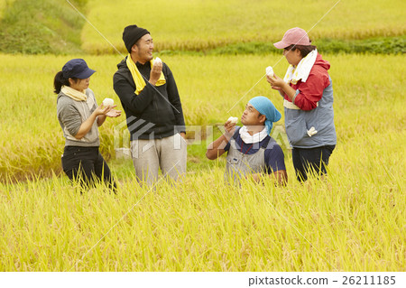 水稻收穫休息 26211185