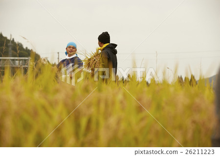 Agriculture helper image Agriculture helper image 26211223