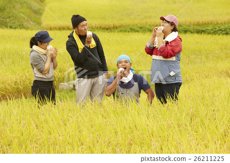 水稻收穫休息 26211225