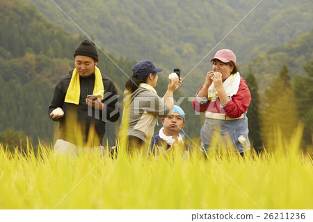 Rice harvest break Rice harvest break 26211236