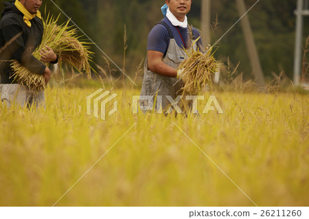 農業幫手形象 26211260