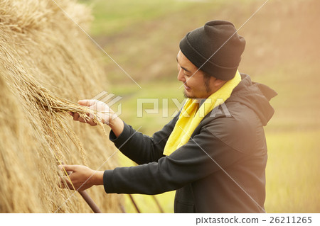 Farmer image Farmer image 26211265