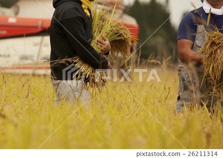 農業幫手形象 26211314