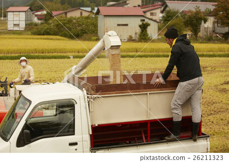 Rice harvest combine 26211323