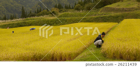 農業的形象 農業的形象 26211439