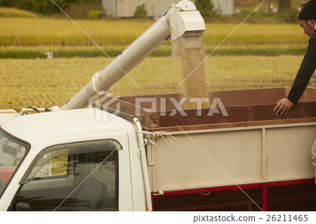 Rice harvest combine Rice harvest combine 26211465