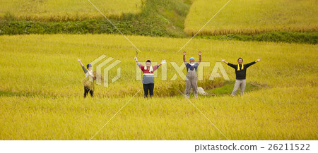 Image of agriculture 26211522