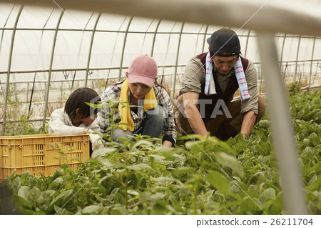 A family migration image living in the country A family migration image living in the country 26211704