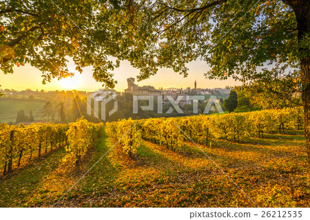 Levizzano, Modena, Emilia Romagna, Italy 26212535
