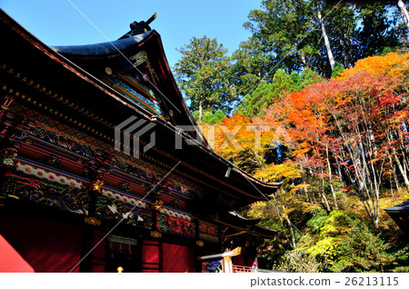 Saitama Prefecture Chichibu city power spot Autumn leaves of Sannen Shrine in autumn 26213115