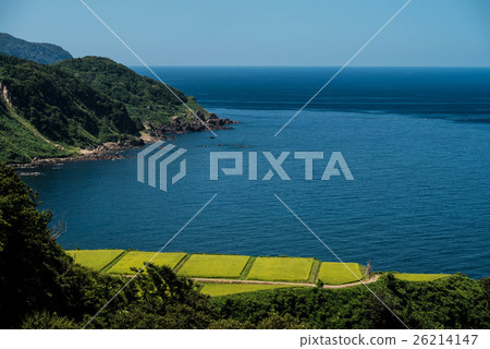 Saiho Coast Saiho Coast 26214147