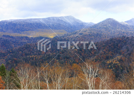 Late autumn Nakayama Pass 26214306