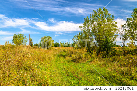 Typical rural landscape of Kursk region, Russia Typical rural landscape of Kursk region, Russia 26215861