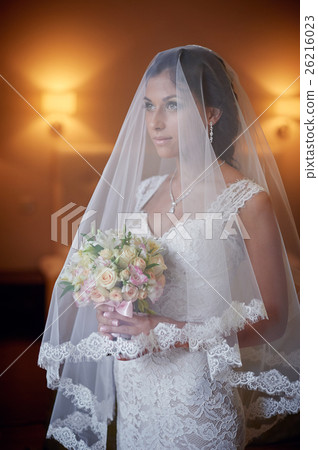 Portrait of beautiful bride in a wedding veil 26216023