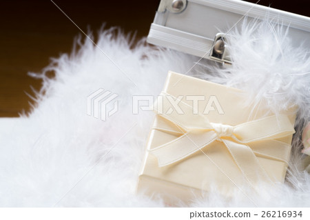 Present Present 26216934