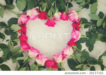 Pink fresh roses 26217102