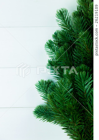 Spruce Christmas tree on white wood background 26219189