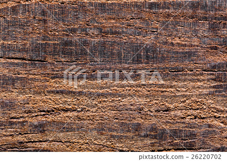 Wood background Wood background 26220702
