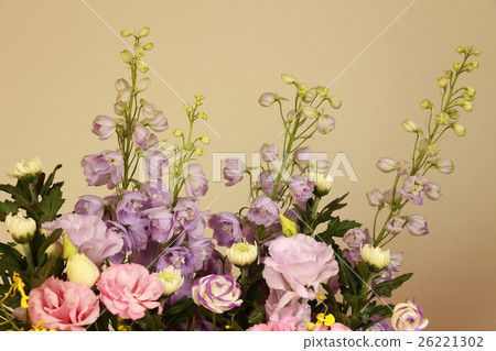 供應鮮花 26221302