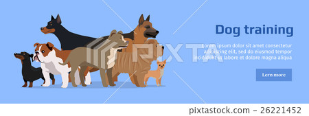 Professional Dog Training Service Banner. 26221452