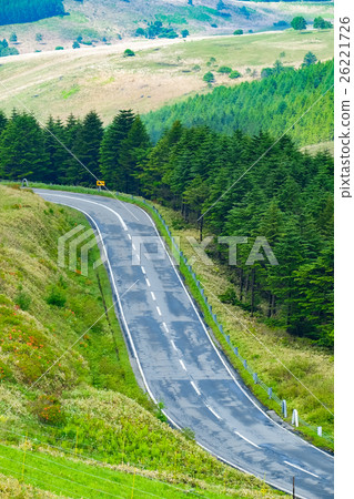 Kamiyakogen in early summer (17) Kamiyakogen in early summer (17) 26221726