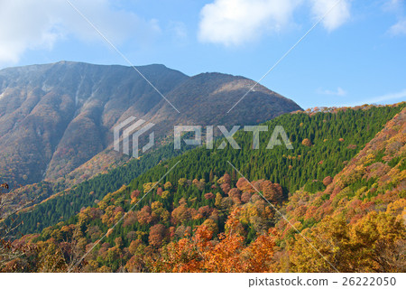 伊吹山 照片素材 圖片 圖庫