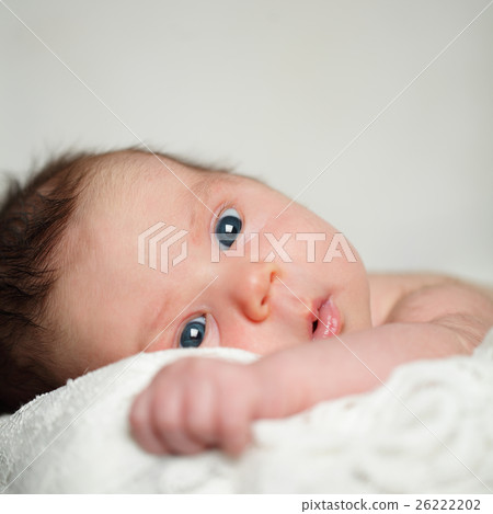 Baby, face close-up, cute newborn 26222202