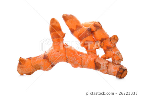 Turmeric root isolated on white Turmeric root isolated on white 26223333