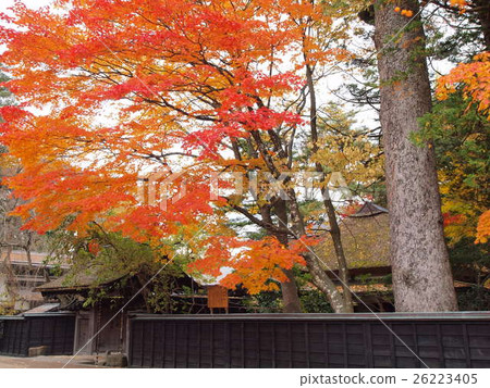 Autumn leaves of Kakunodate (Odano family) 26223405