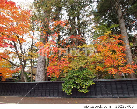 Autumn leaves of Kakunodate 26223406