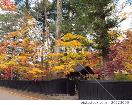 Autumn leaves of Kakunodate (Odano family) 26223609