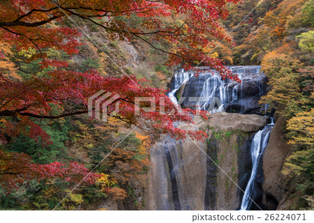 Autumn leaves of Fukuroda Falls 26224071