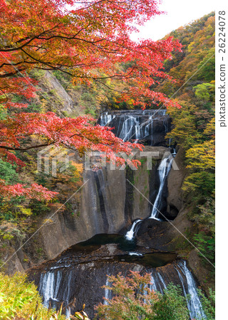 Autumn leaves of Fukuroda Falls 26224078