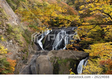 Autumn leaves of Fukuroda Falls 26224088