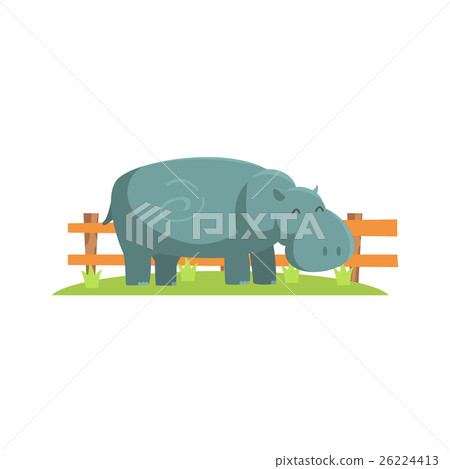 Relaxed Grey Hippo Standing On Green Grass Patch 26224413